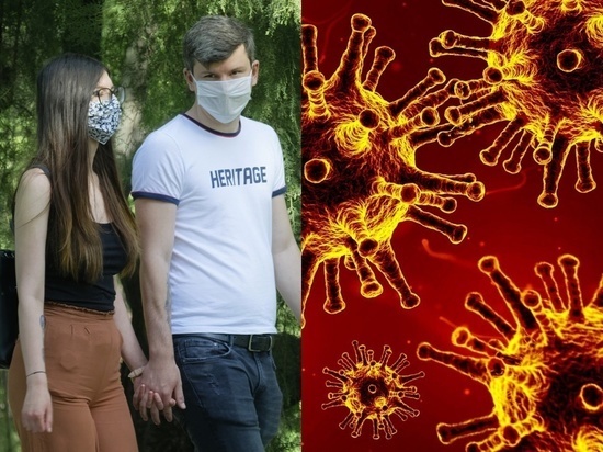 Фото - pixabay.com