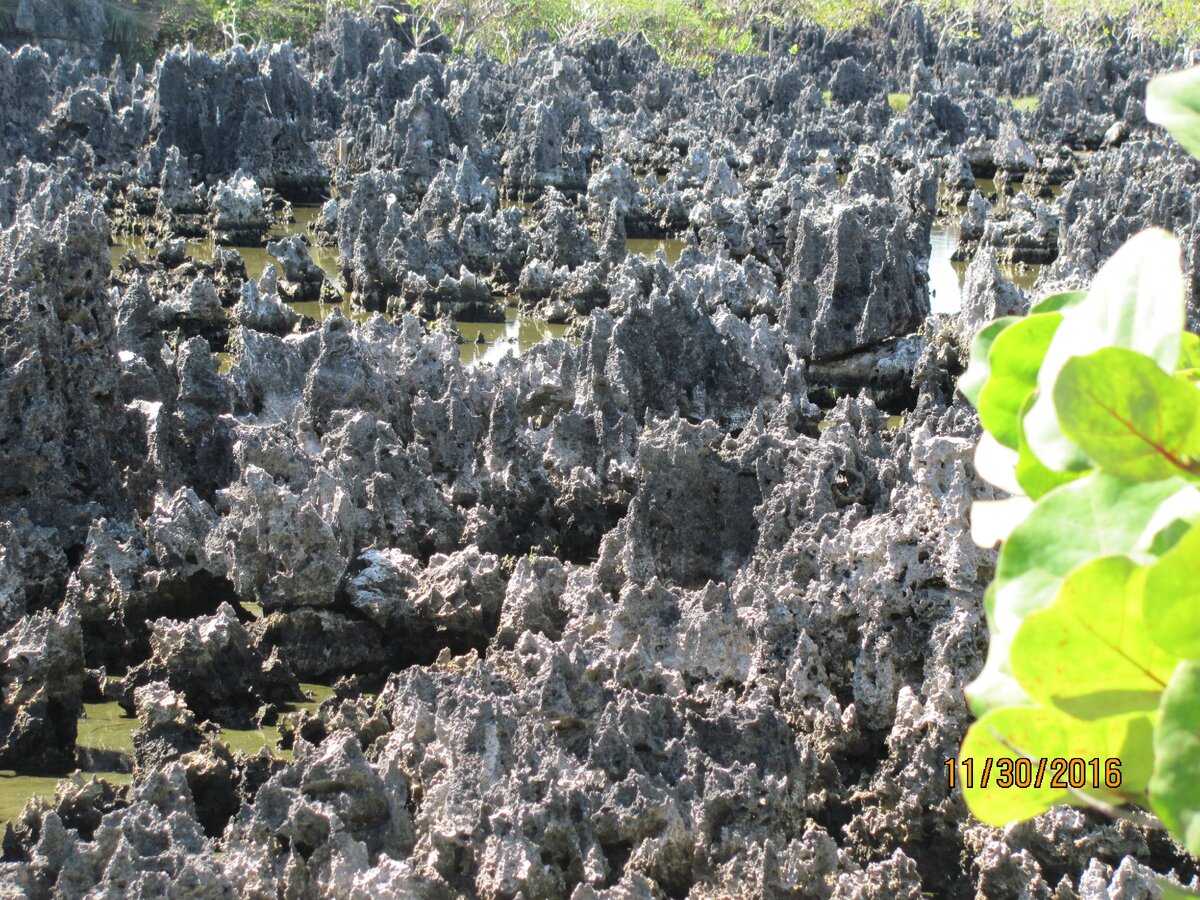 Карстовые образования, давшие название городку Hell на Кайманах