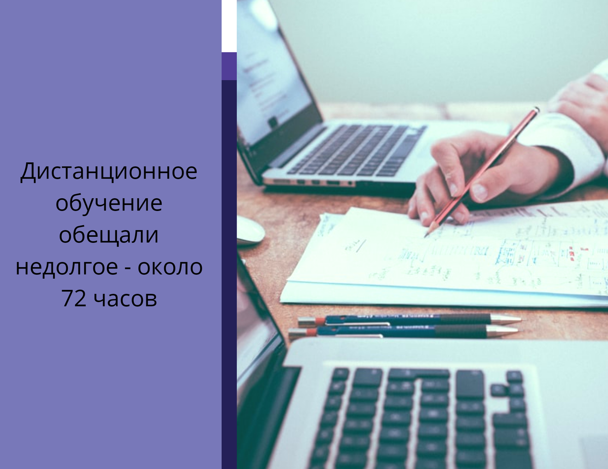 Фотография из свободного источника
