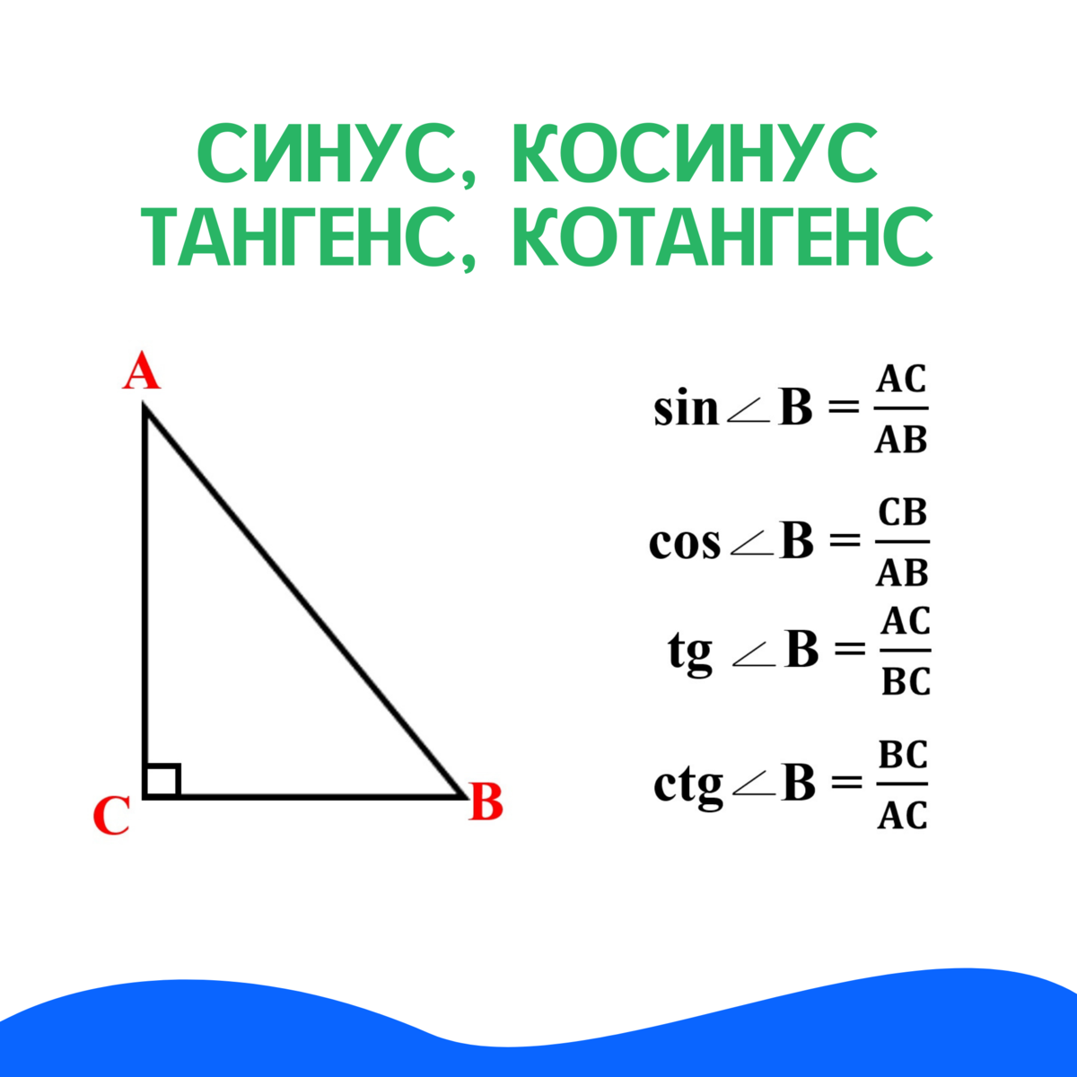 Геометрия синус косинус тангенс. Синусфы косинуся тангне. Синус косинус тангенс котангенс. Синус тангенс котангенс в прямоугольном треугольнике.