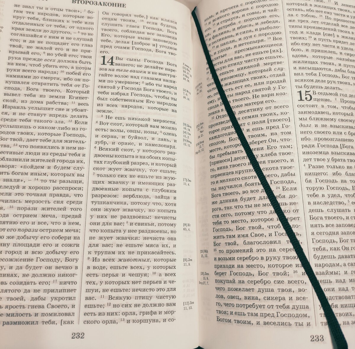 Запрет свинины в библии. Где в библии написано что нельзя есть свинину. Запрет свинины в христианстве. Христианам можно есть свинину. Свинина запрещено есть в библии.