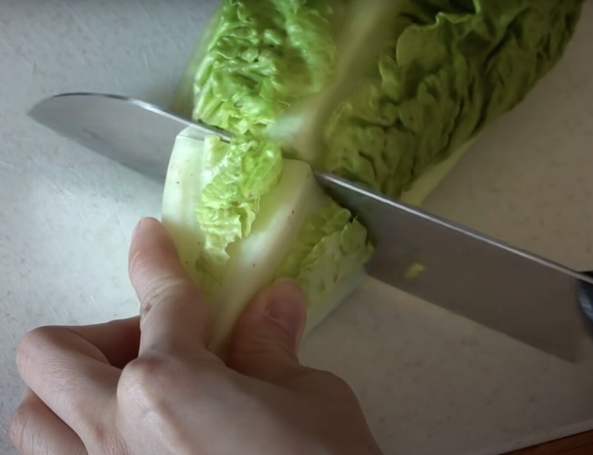 Для выращивания необходимо отрезать основание салата