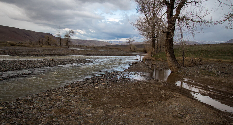 (источник фото личное )Весна 2017