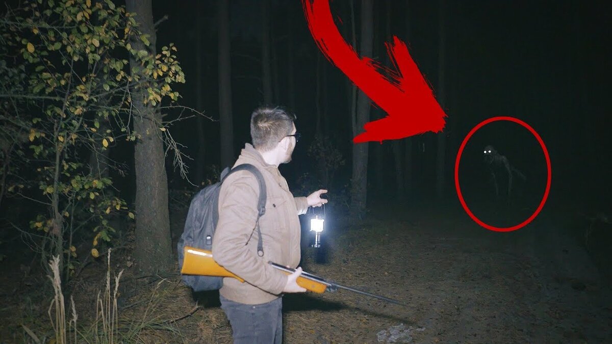 Скрин из другого видео, где чуваки ходят по лесу и всматриваются в темноту 20 минут