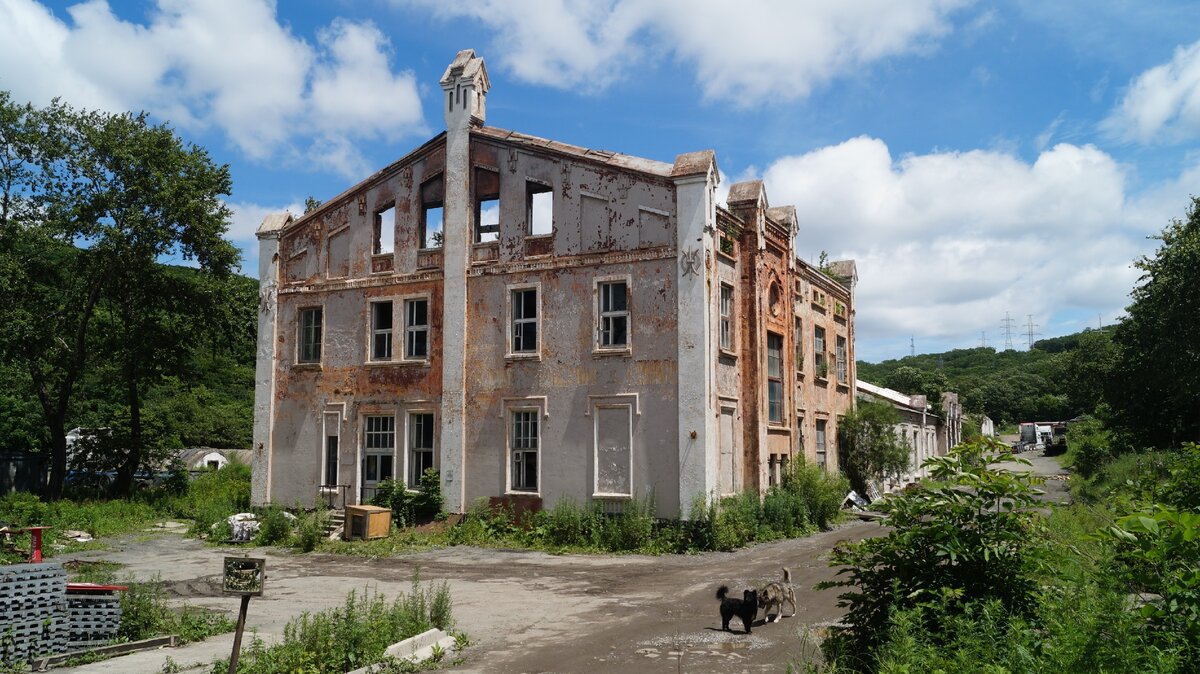 Фото: Артём Нойер