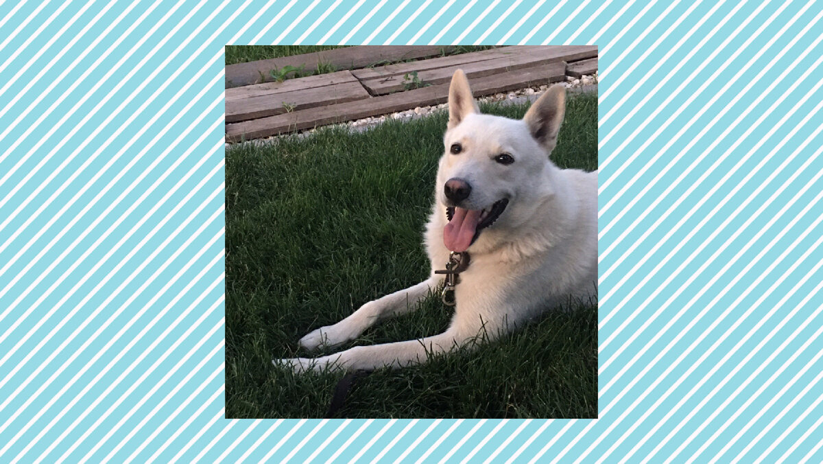 Подпишитесь на канал и поставьте лайк! Вы поможете развитию канала! Заранее благодарю!