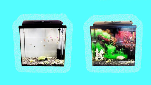 Задний фон для аквариума. Как приклеить задний фон?