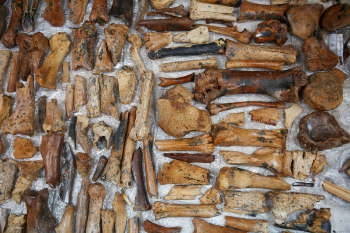 Фото: https://www.rgo.ru/