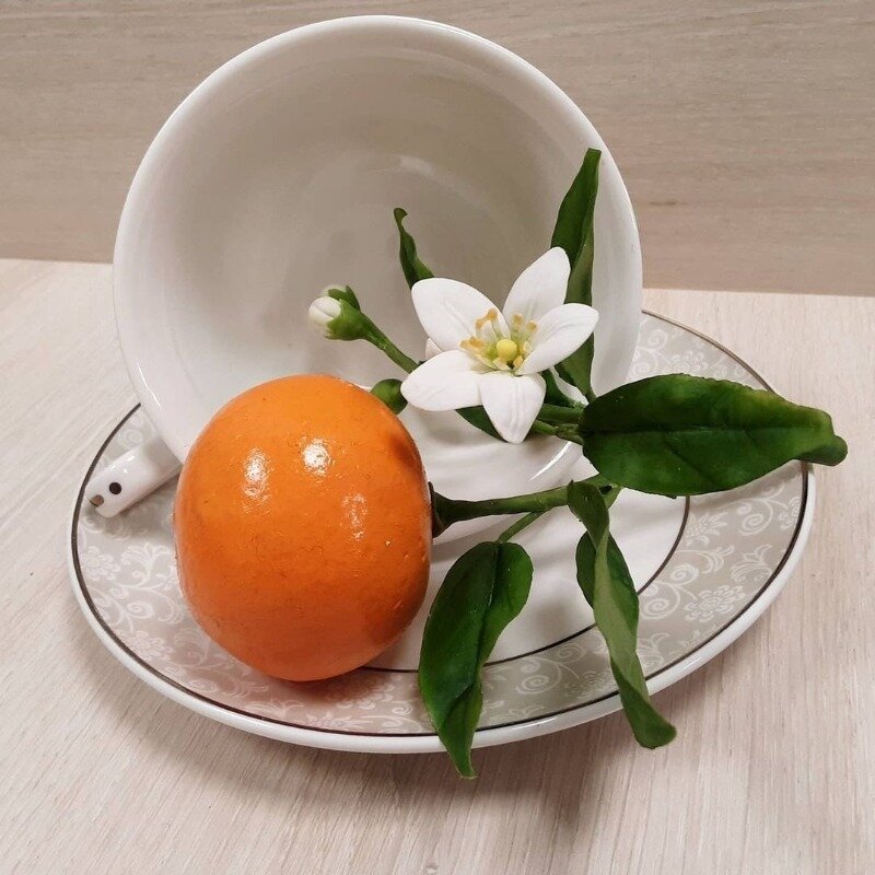 Фото https://www.instagram.com/p/CJvJP69DvSp/