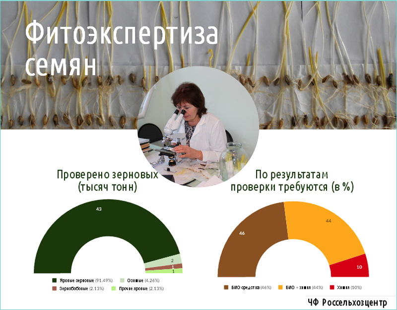 По данным Челябинского филиала Россельхозцентра 