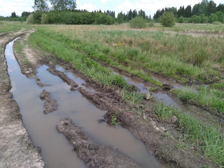 Дорога через поле. Фото автора.