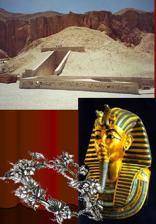 Полевые цветы в гробнице Тутанхамона