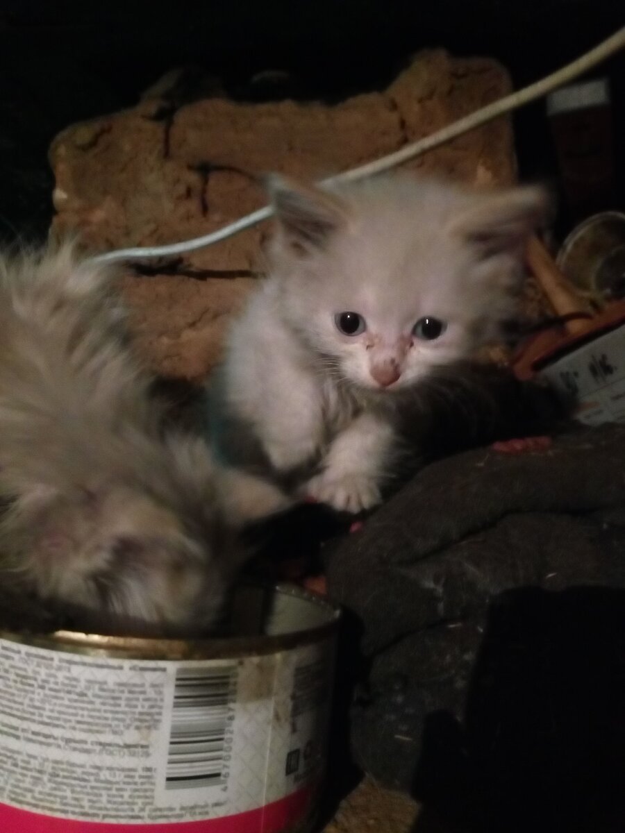 первая встреча 