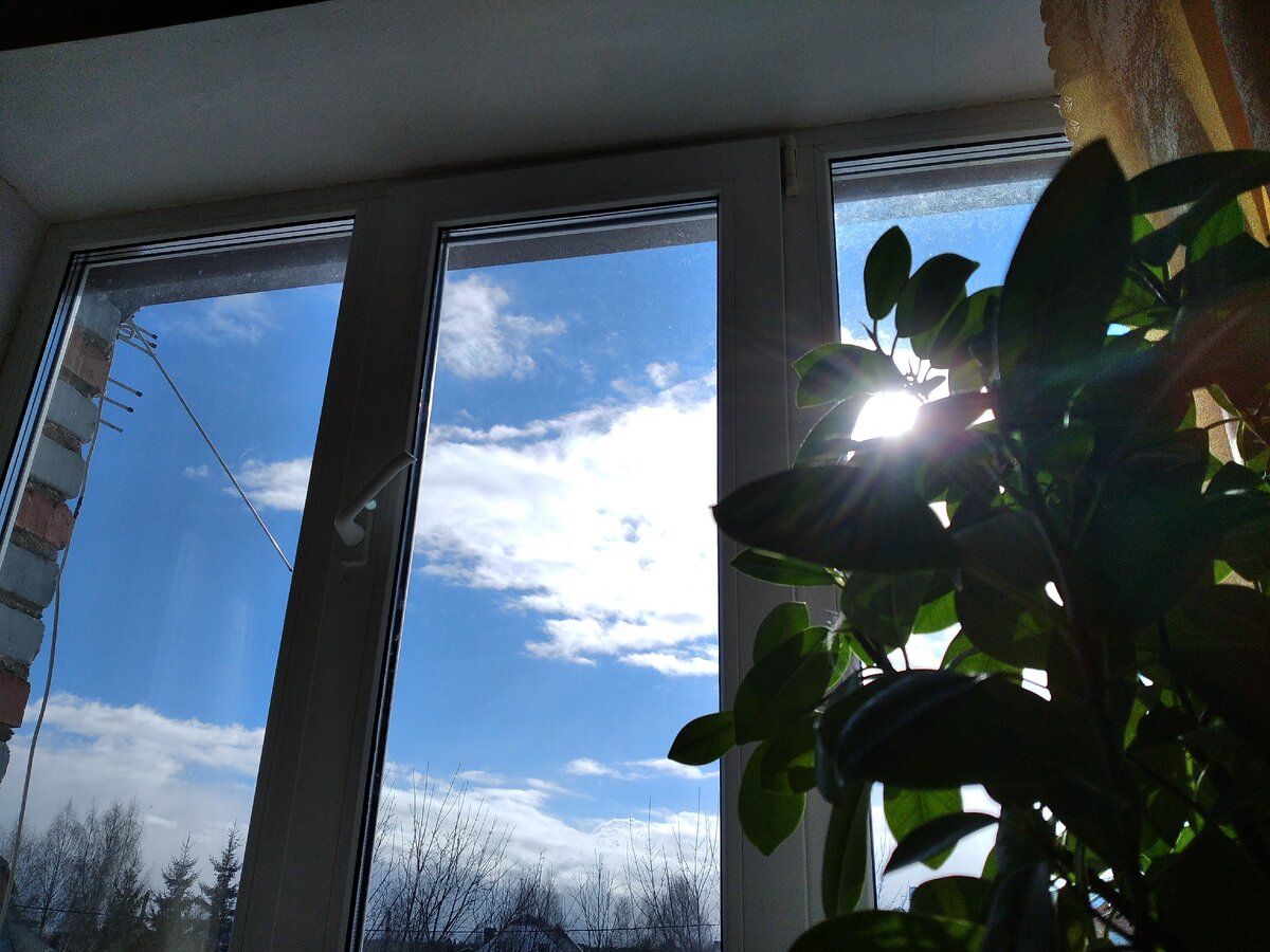 Кажется, что за окном совсем тепло!