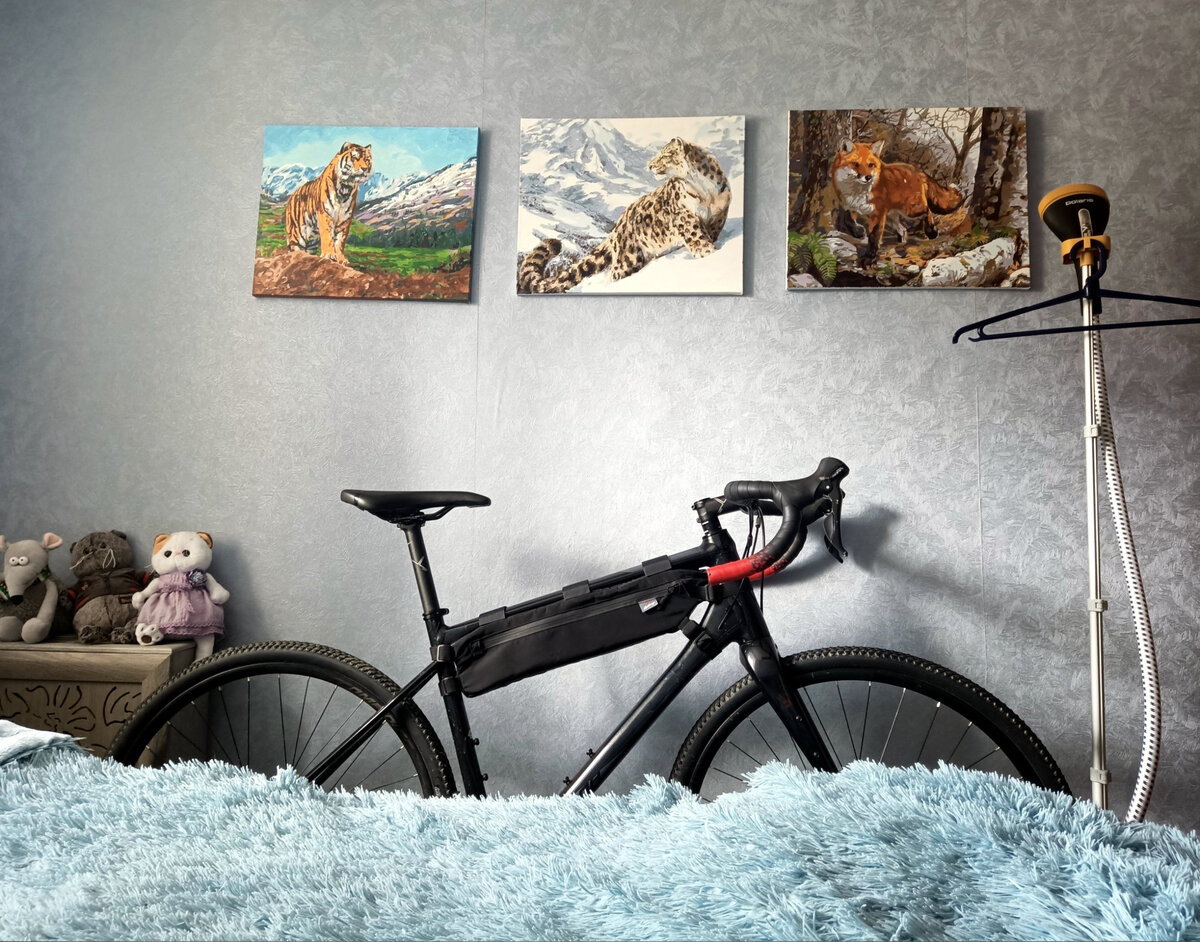 У велосипедов полноправное место дома))