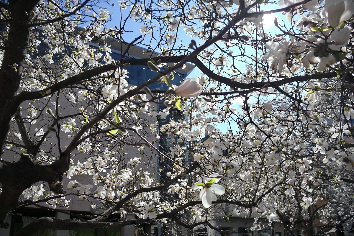 Мартовский свет.