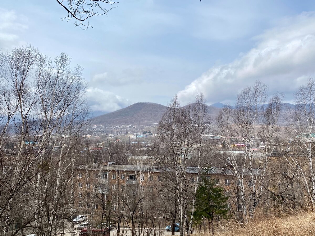 Улицы партизанска приморского края. Город Партизанск Приморский край. Партизанск Приморский. Партизанск Приморский край природа.