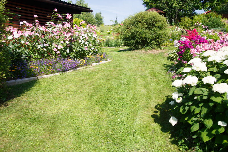 Цветы. (Фото используется по стандартной лицензии ©ogorodnye-shpargalki.ru)