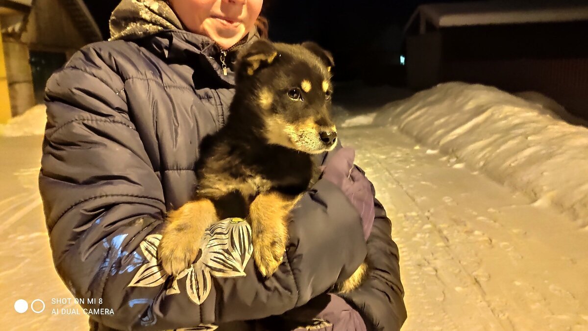 Щеночку не больше 2 месяцев