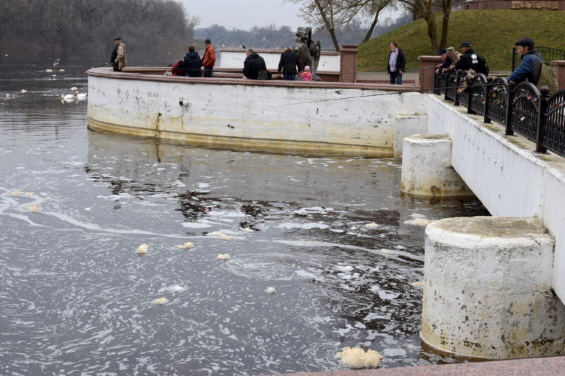 Фото читателя