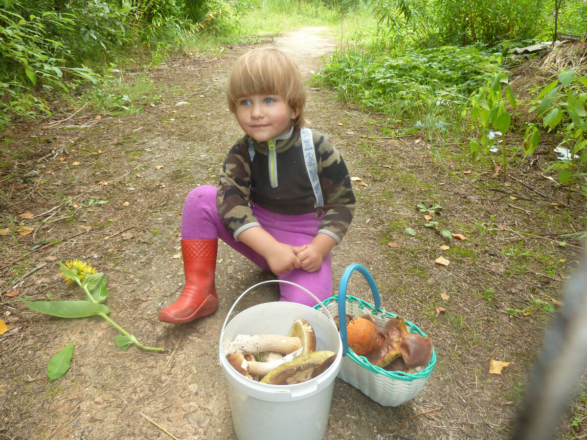Кирин первых поход в лес) Часть грибов честно нашла она) Личное фото автора.