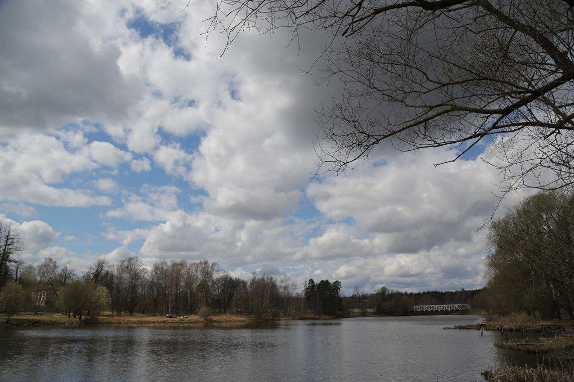 Фото — yandex.ru