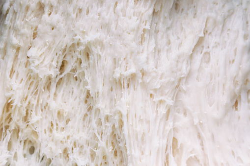 Мякиш становится как бы влажным, с неприятным запахом.