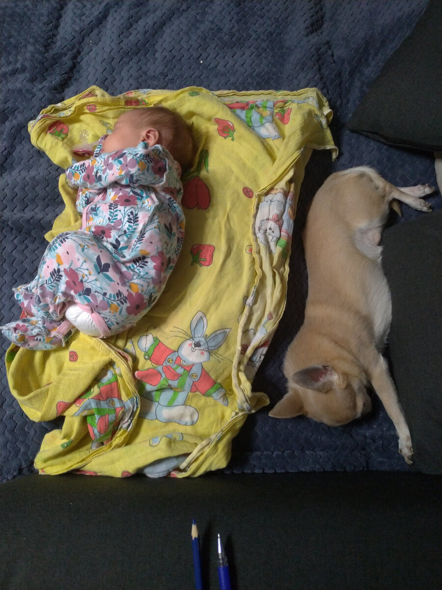 Новорожденный ребенок и собака