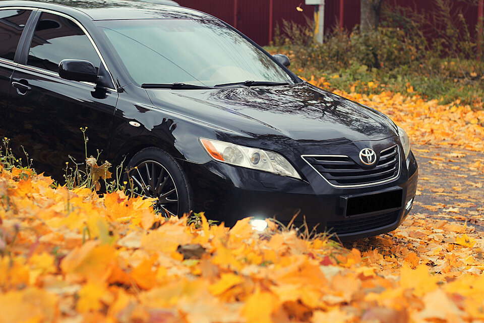 Яндекс.Картинки