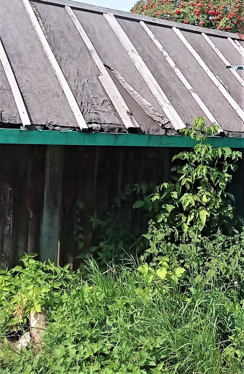 Старый сарай. Фото автора канала.