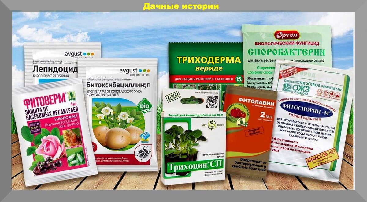 https://vk.com/photo-159774511_457249088