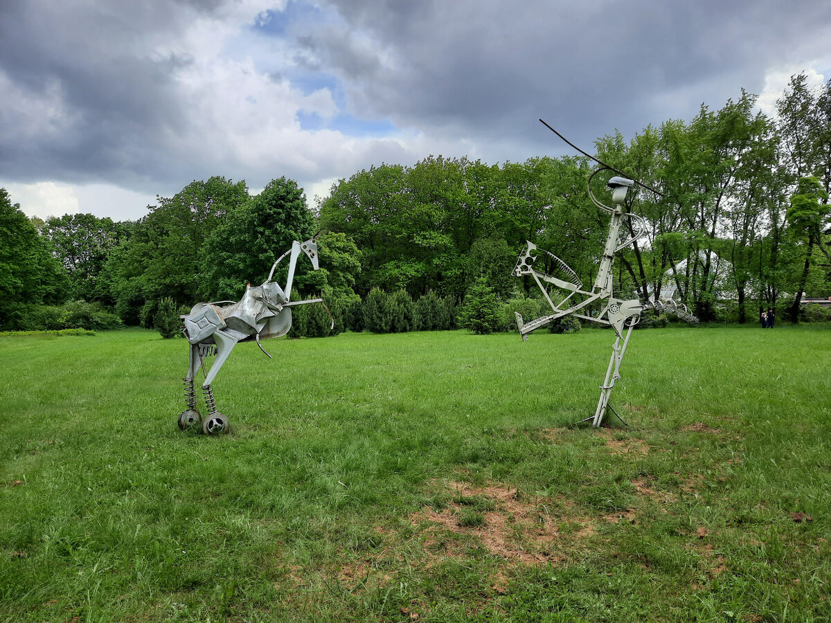 Направления в философии бывают разные