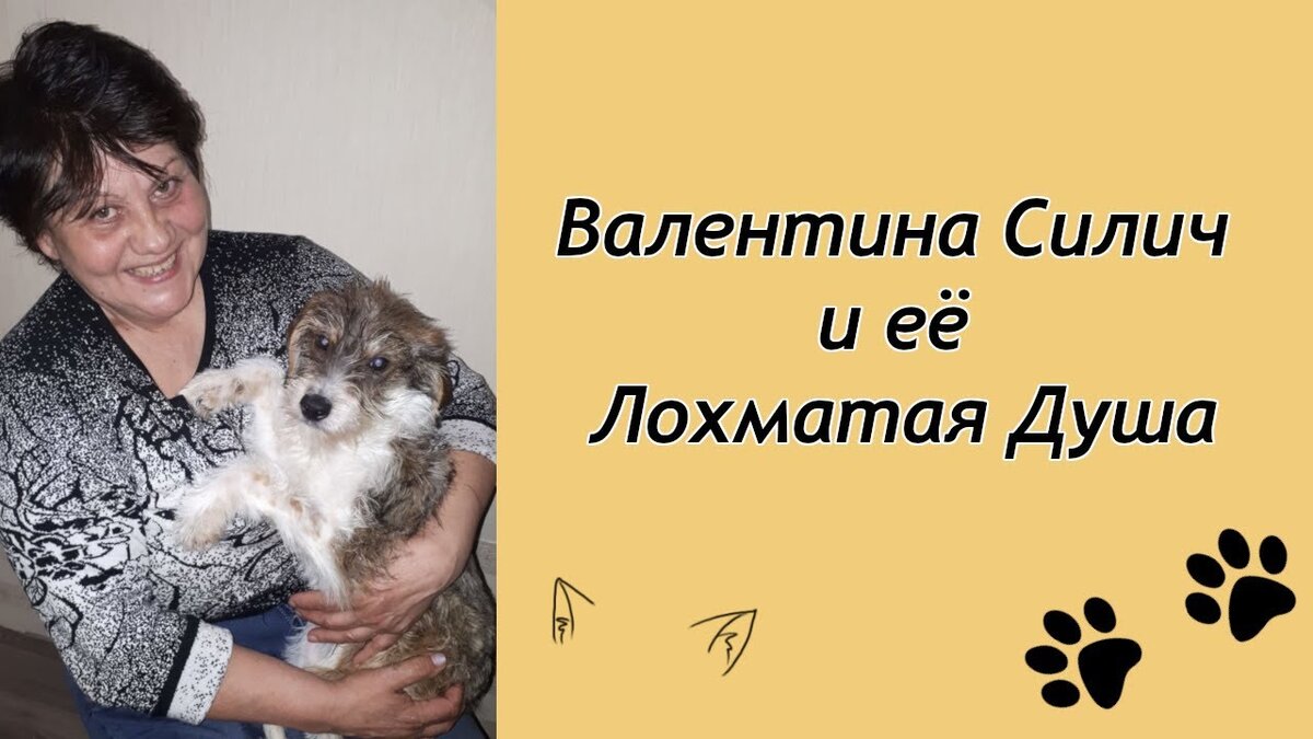 ютуб, канал ЛД