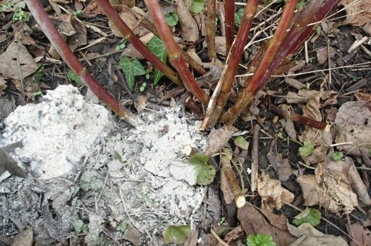 Добавьте описание