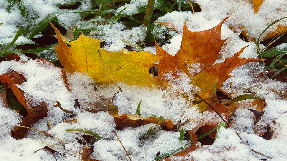 И грусть бывает светлой и исцеляющей душу // фото из общедоступных источников сети интернет