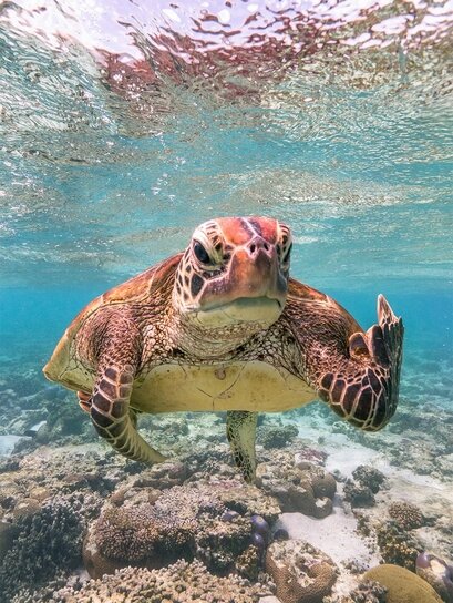 Источник  -  geekville.ru