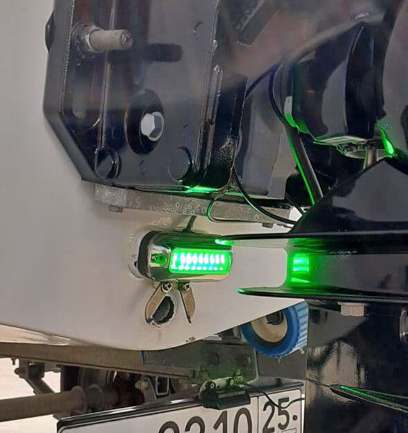 Вот так они выглядят на суше