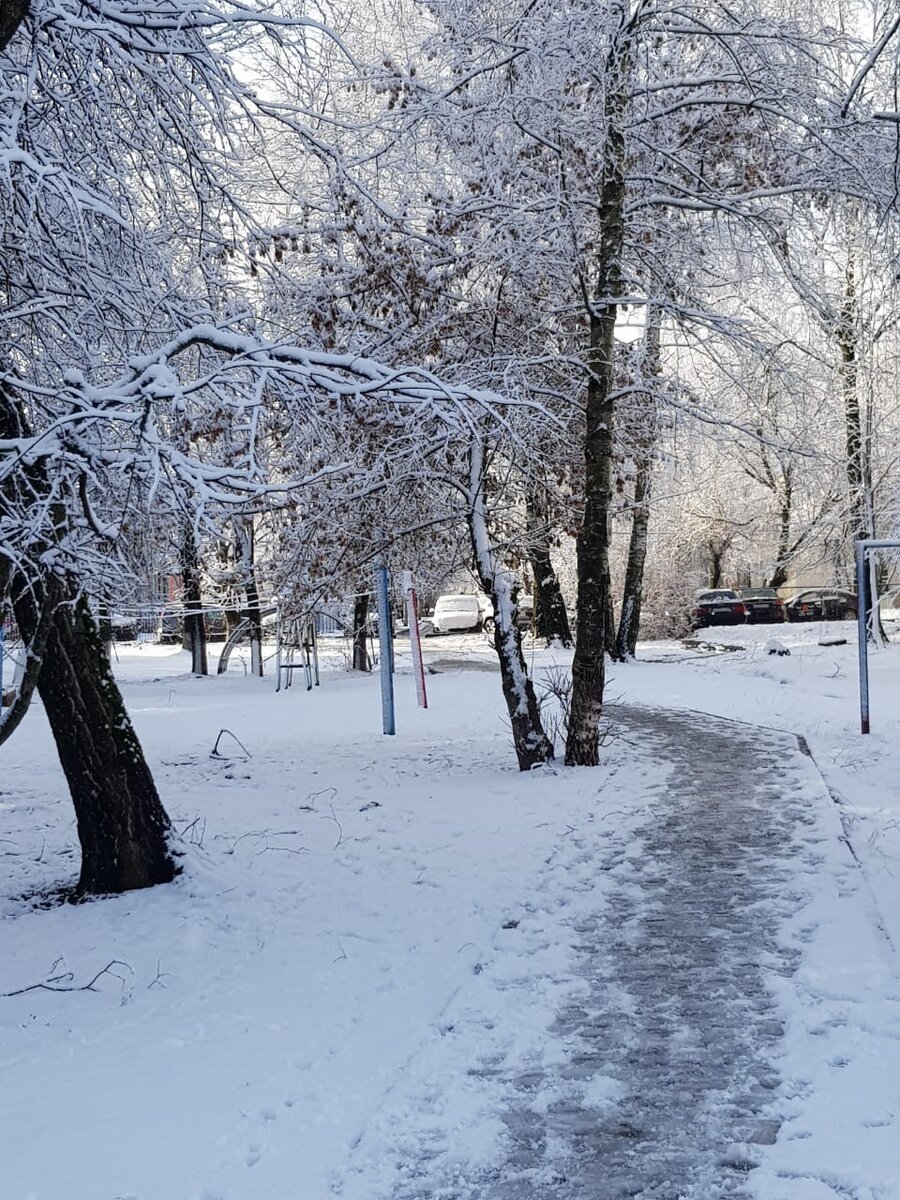 Холодно и пасмурно. Срочно нужно новогоднее настроение. Фото автора.