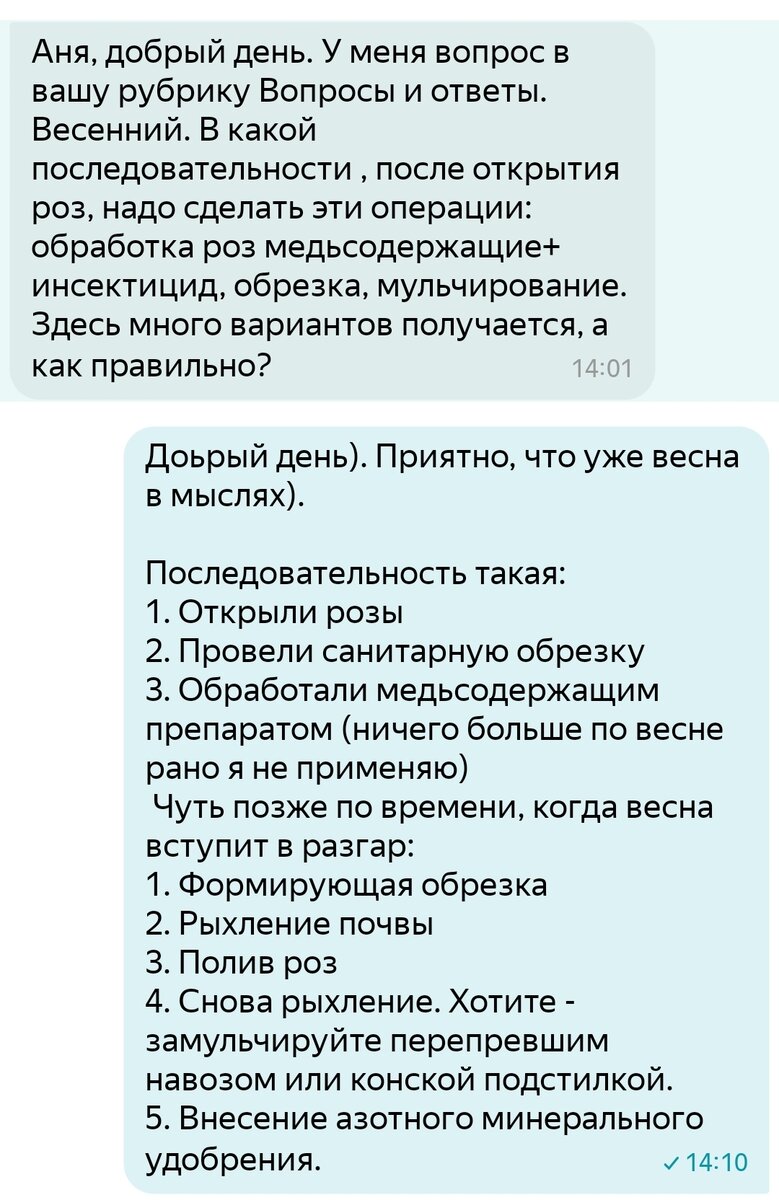 Поговорим о розах🌹Вопросы - ответы. Часть 75 | Цветочница Анюта 🌹 | Дзен