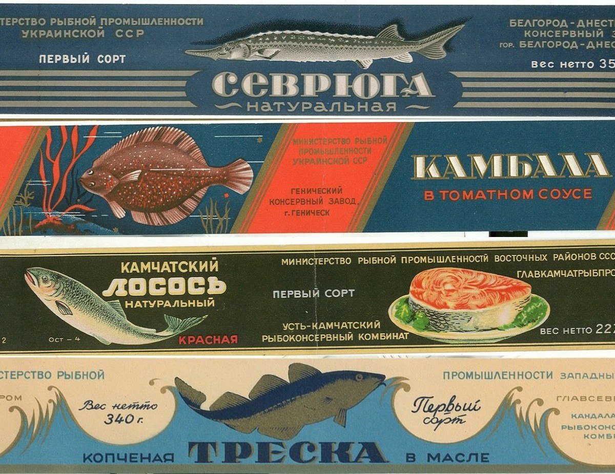Прошло, как не бывало: 3 сорта рыбы, пропавших с прилавков после распада  СССР