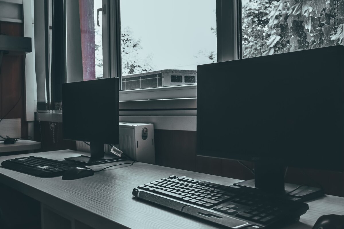 Изображение: Dids (Pexels) 