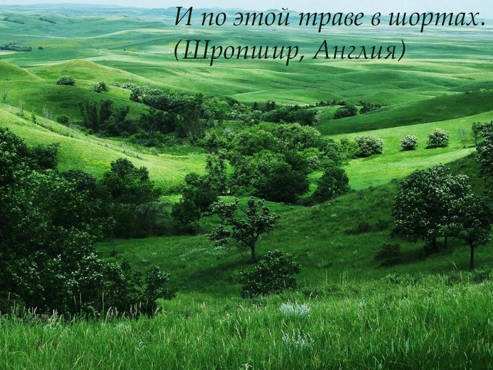 (с) фото из открытых источников