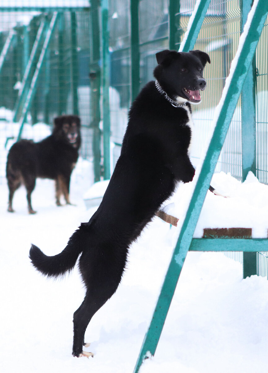 Люди часто говорят, что «жизнь полна выбора», но никто не спешит воспользоваться им