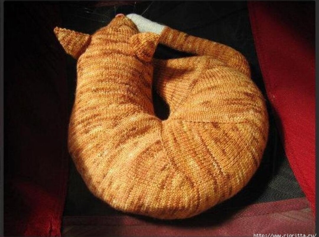 Кот подушка длинный фото