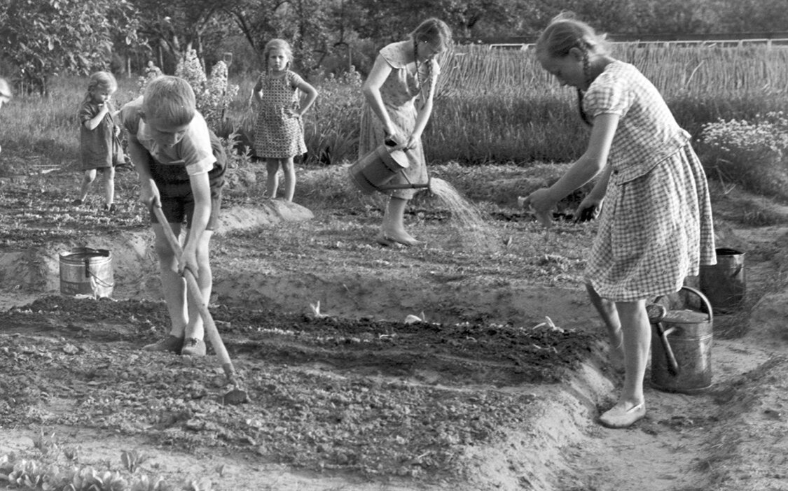 Источник: Everett Collection / Shutterstock