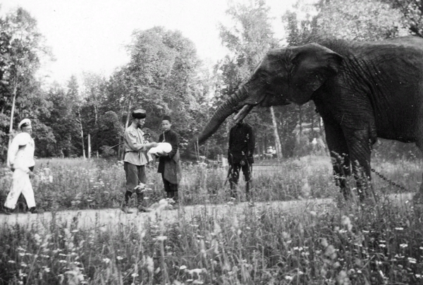 7 редких исторических фотографий которые стоит увидеть каждому