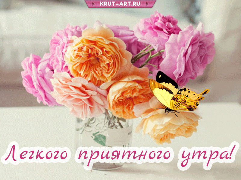 Анимашка доброе утро с букетом цветов и бабочкой, сидящей на нем. Пожелание приятного утреннего настроя на весь день дорогому человеку