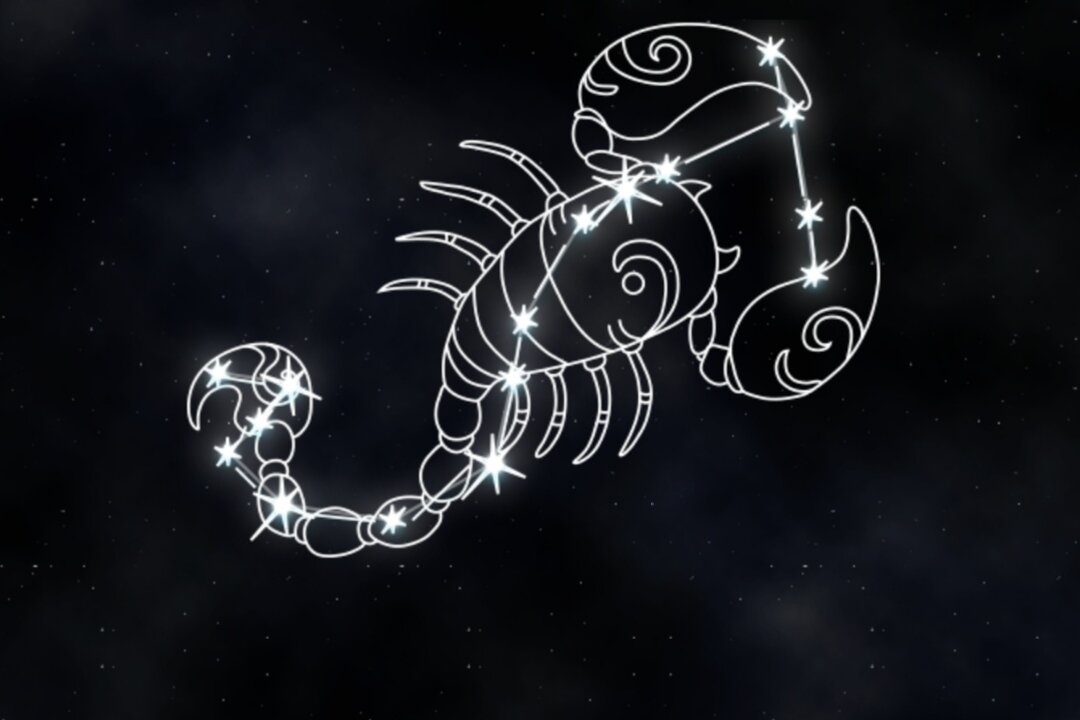 водолей скорпион стрелец. козерог и водолей. тату знак зодиака козерог. ютака кагая скорпион. скорпион и водолей.