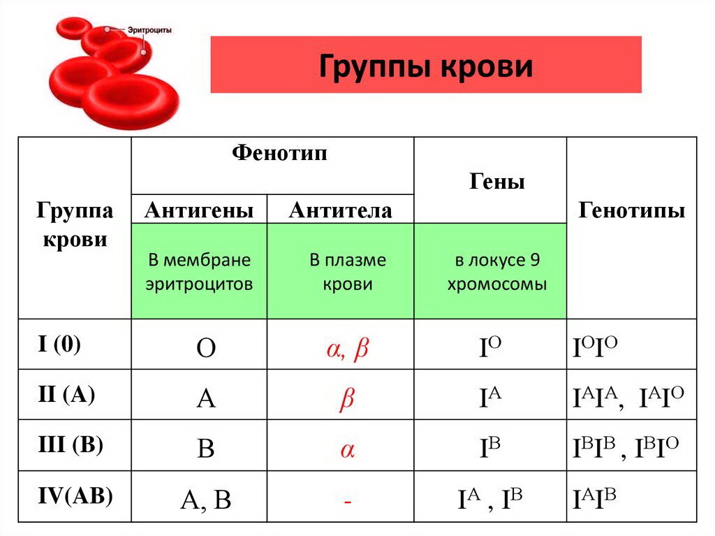 Группа крови и характер проект