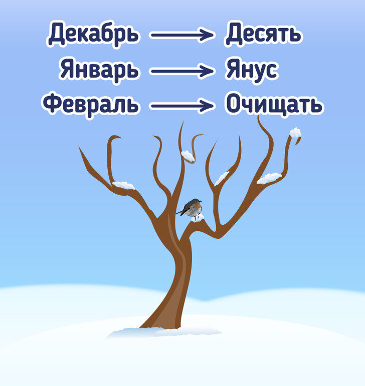 Кто придумал названия месяцев. Февраль название месяца. Почему месяца называются именно так. Прикольные названия месяцев.